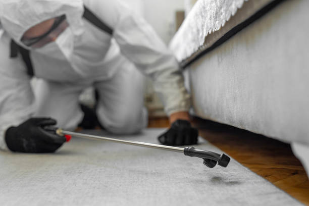 Professional Pest Control technician working in Berkeley, MO