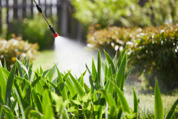 24/7 Emergency Pest Control experts in Berkeley, MO