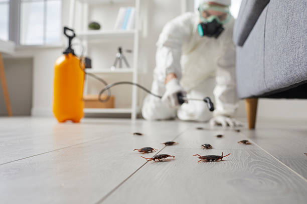 Affordable Pest Control solutions in Berkeley, MO